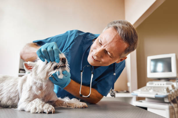 Best Emergency Denture Repair in Hudsonville, MI